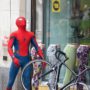 news_spiderman47